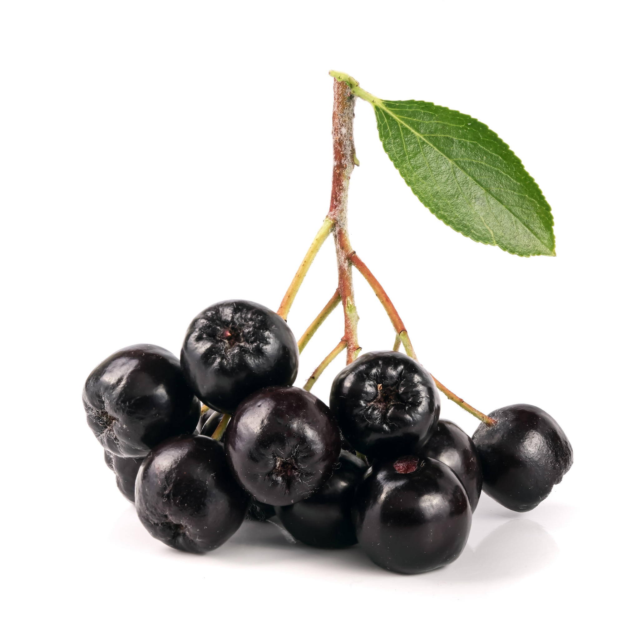 Ingredient: Chokeberry juice