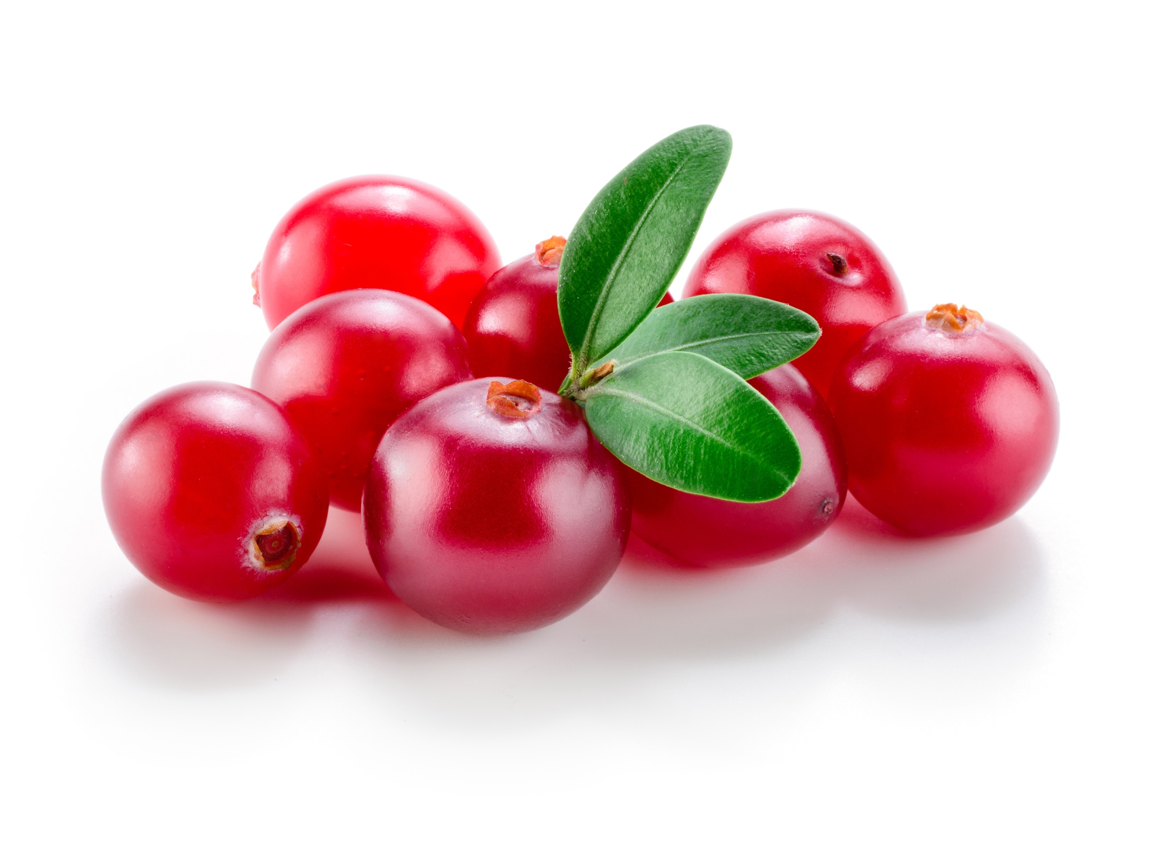 Ingredient: Cranberry fruit juice